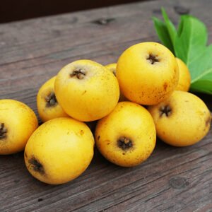 Fresh Loquats